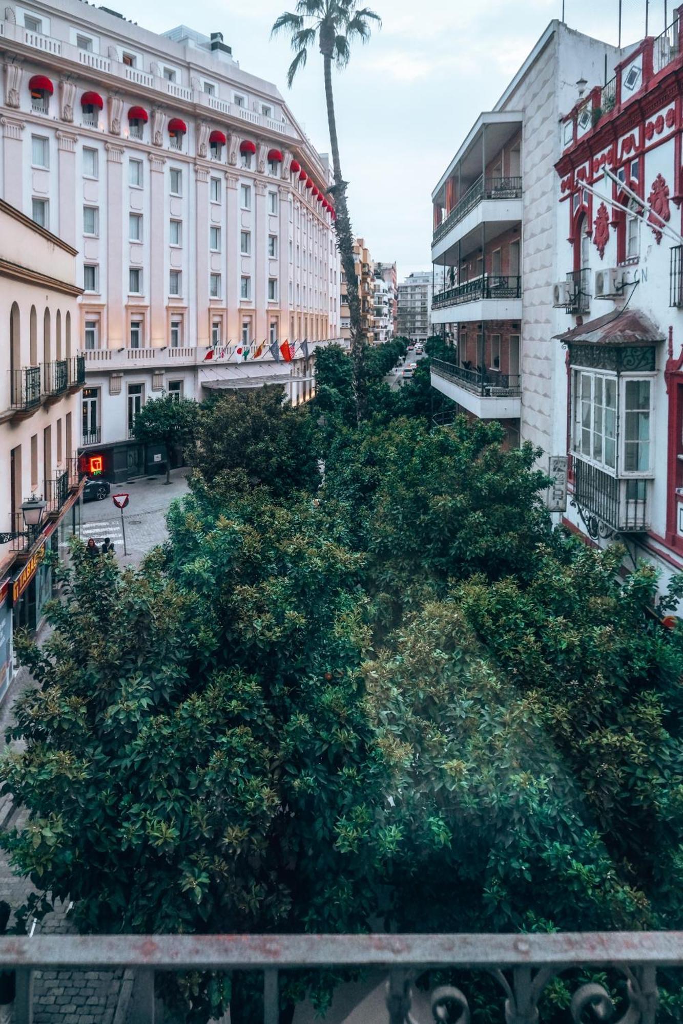 Apartamentos San Roque Севиля Екстериор снимка